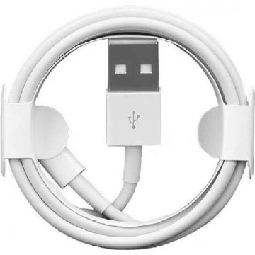 DW4Trading® Lightning naar USB kabel iPhone / iPad 1 meter wit