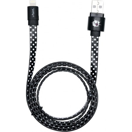 I-Paint USB cable met Apple lightning connector - Pois