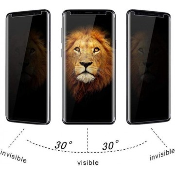 Samsung Galaxy  S10 Lite 2020 / A91 Privacy Screenprotector Glas